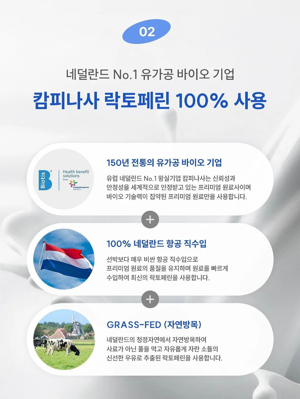 환갑 축하 케이크 8