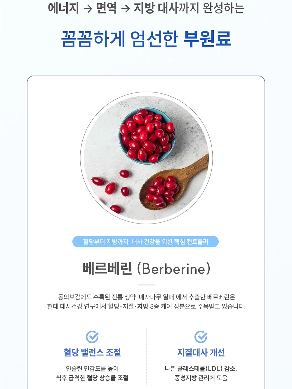 환갑 축하 케이크 10
