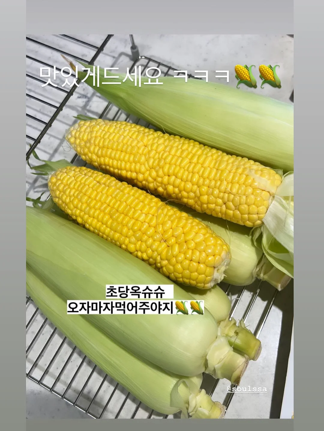 새틴카고팬츠 16