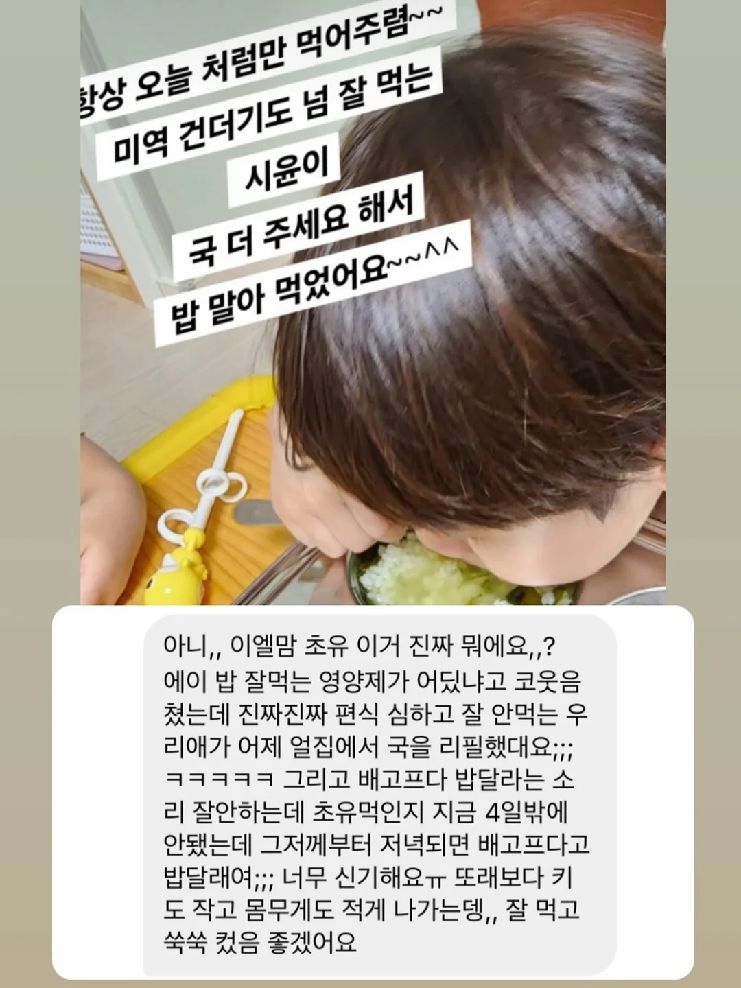 팩트맛집 12