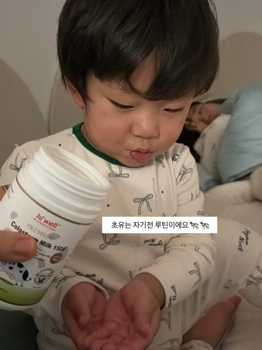 팩트맛집 5