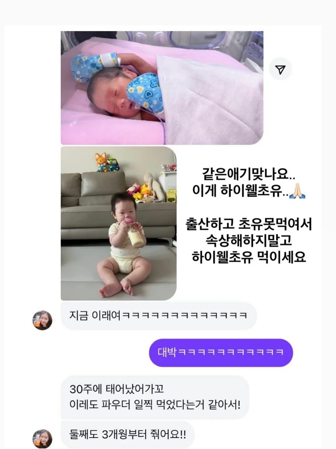 팩트맛집 9