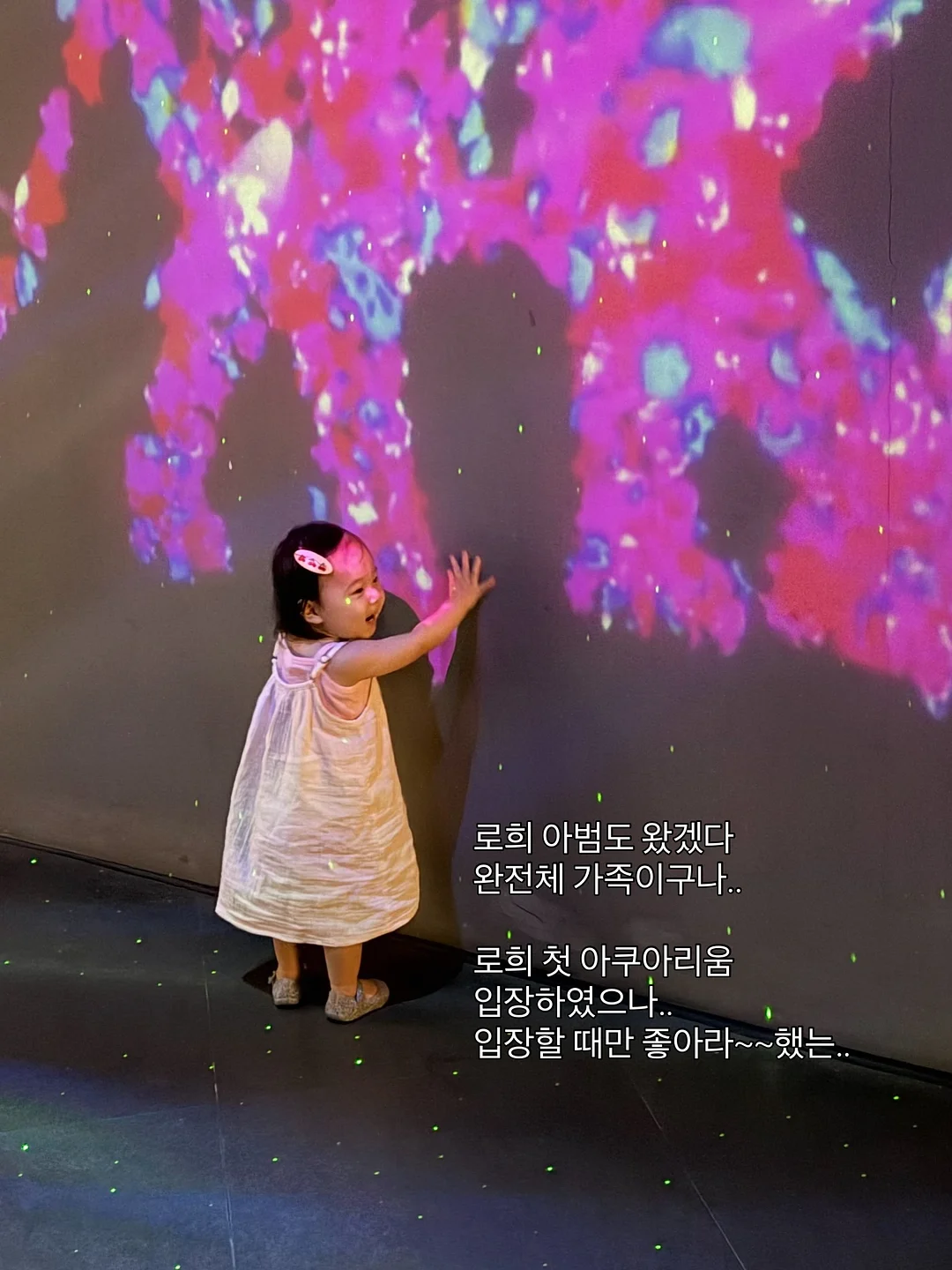 공비환 5단계 맞춤 처방 17