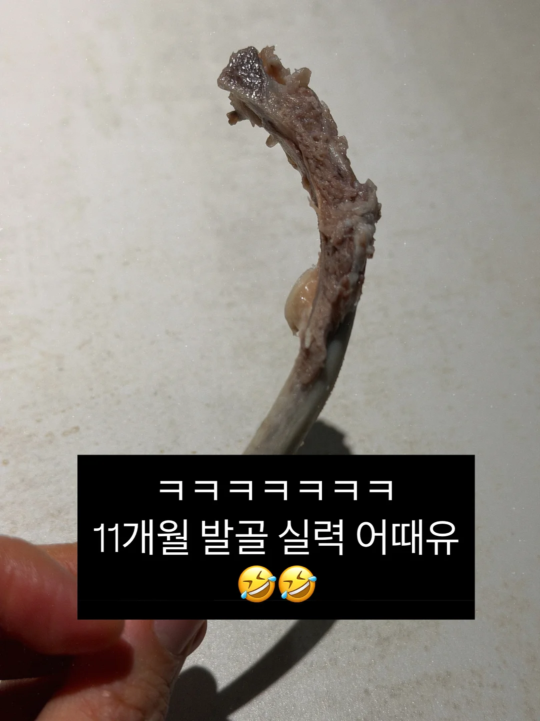 공비환 5단계 맞춤 처방 10