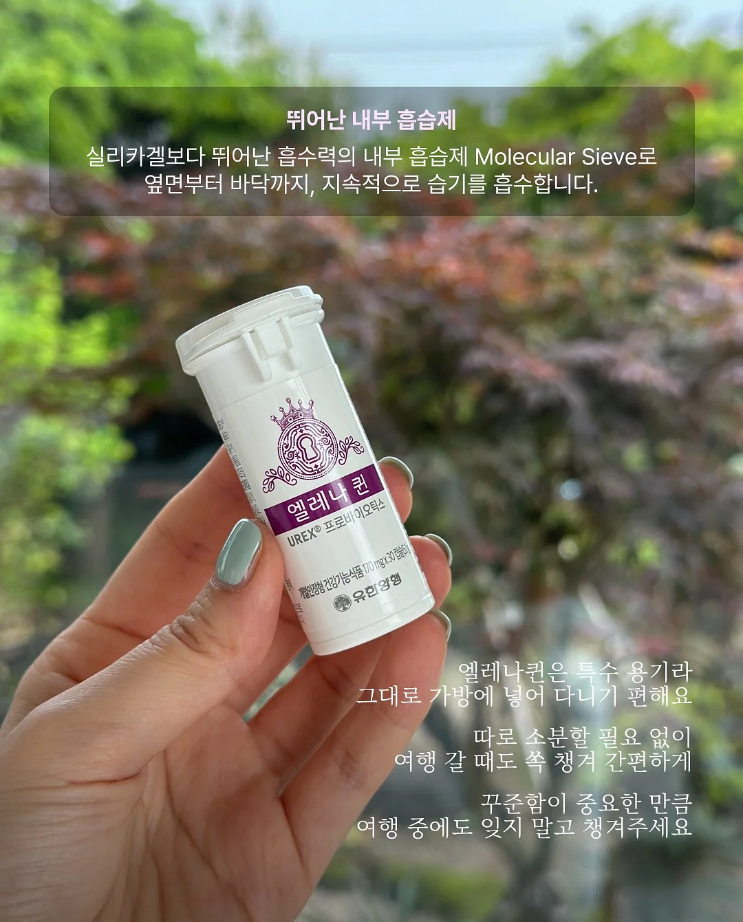 오르빗스니커즈 6
