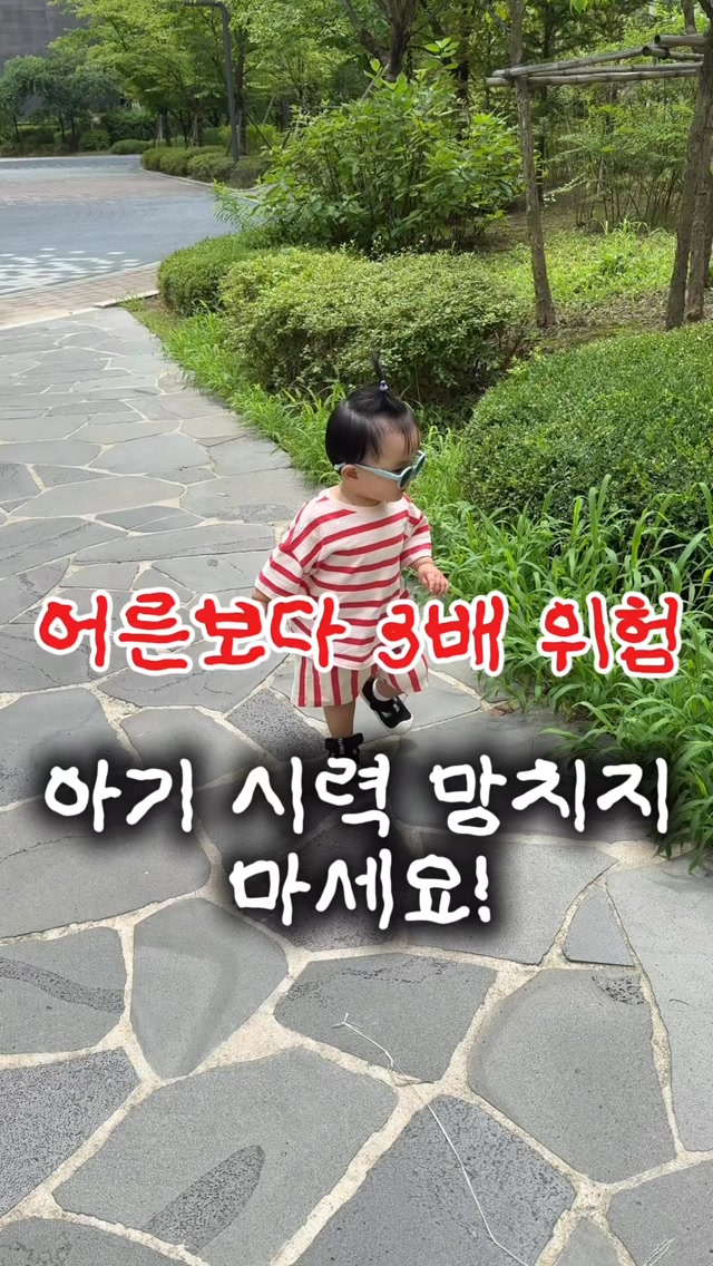티슈 파우치