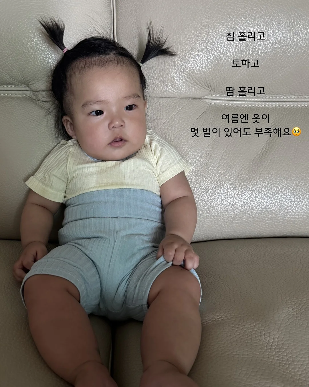 과일 요거트 간식 4
