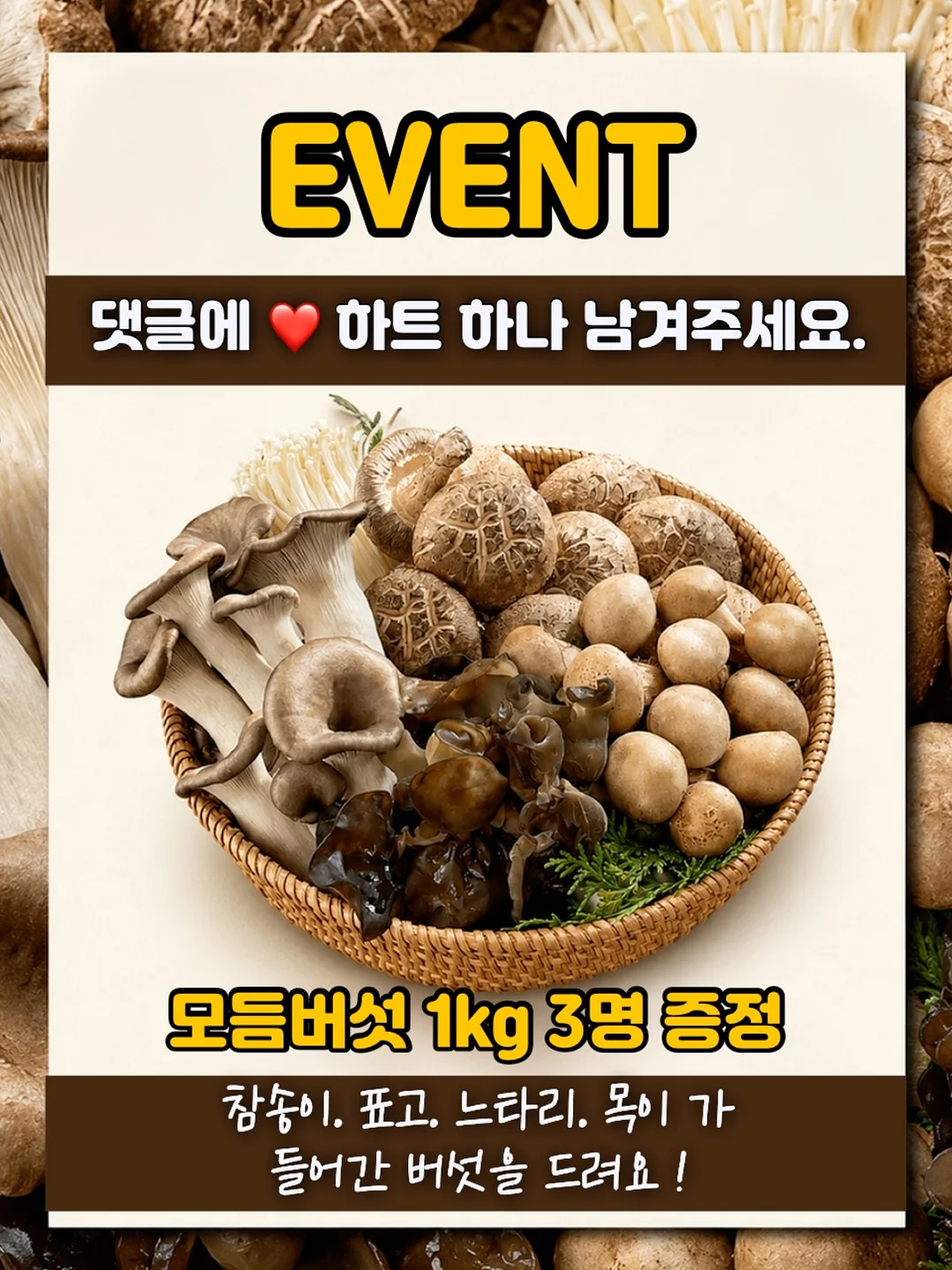 로토토베베 플라워 레이스 상하복 2