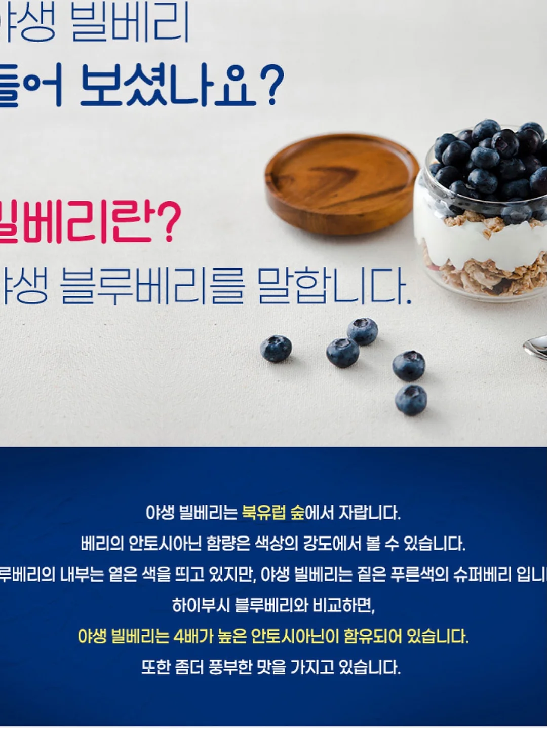 디자인 의류 8