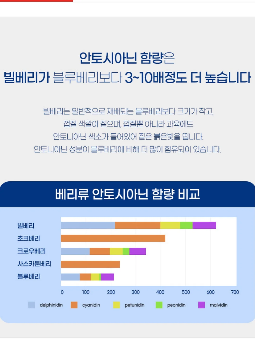 디자인 의류 9