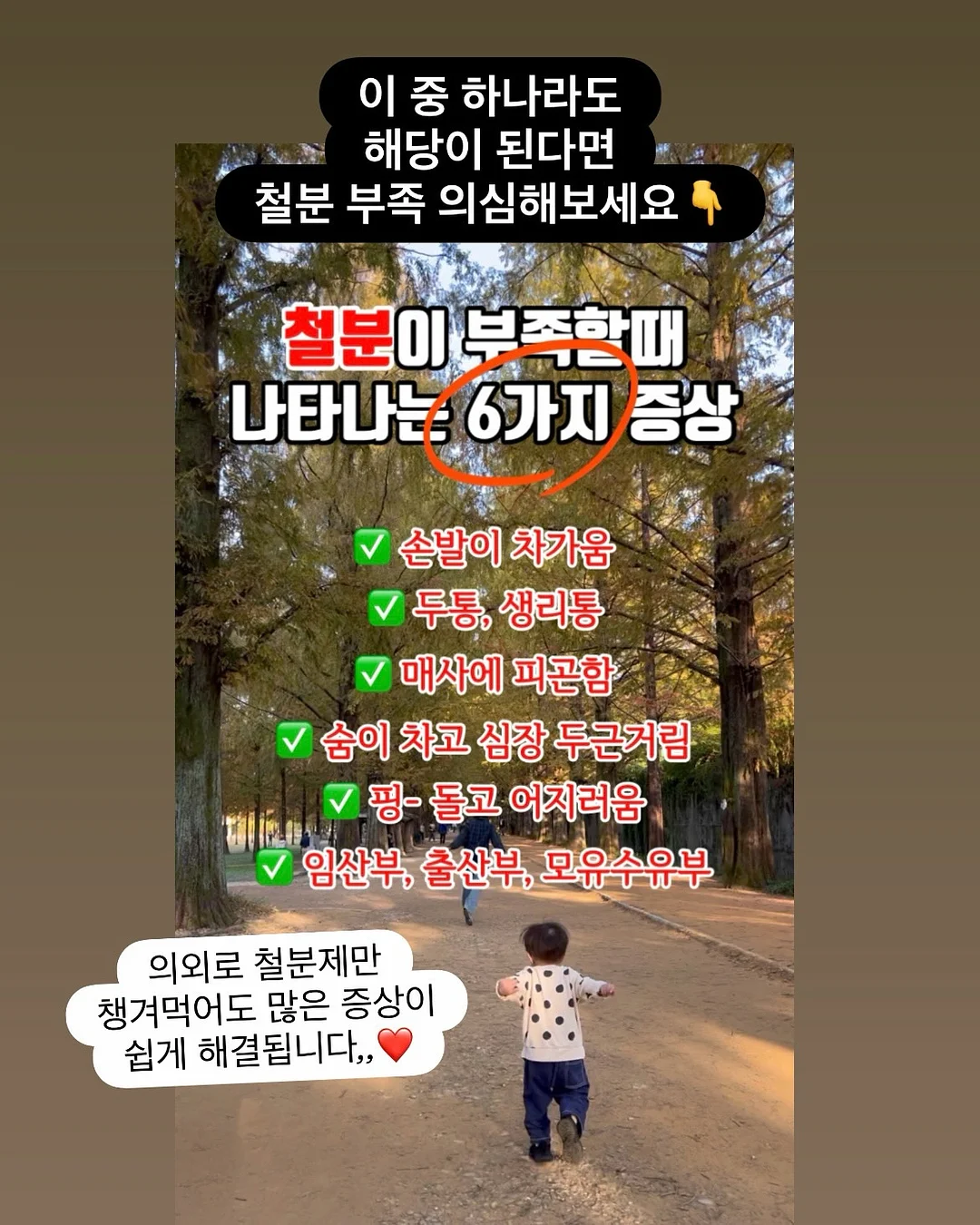 도그요가 16