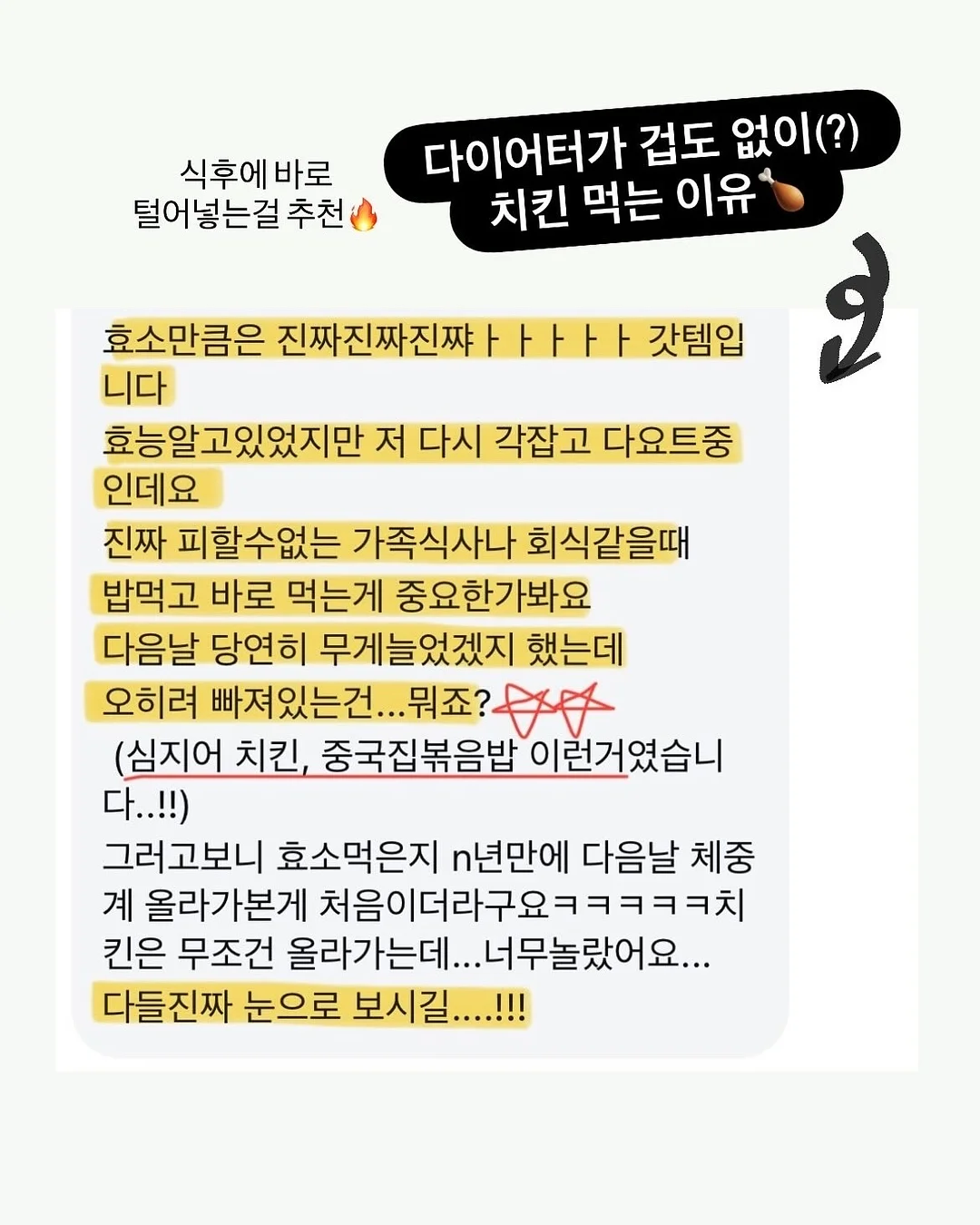 도그요가 9