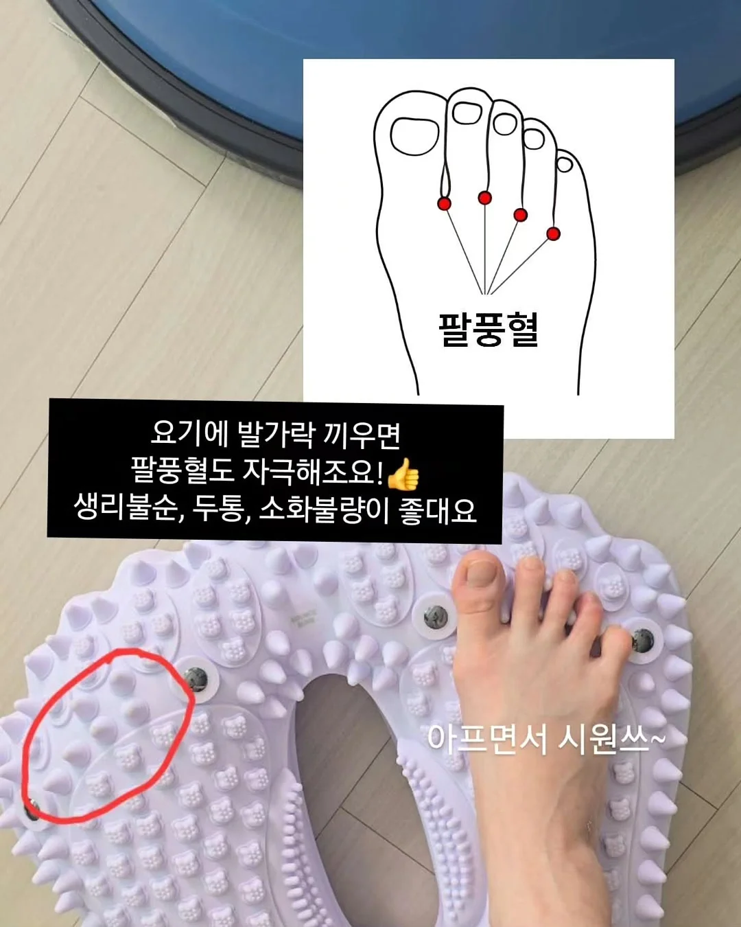 동물의숲 도루묵씨 메모 스탠드 6