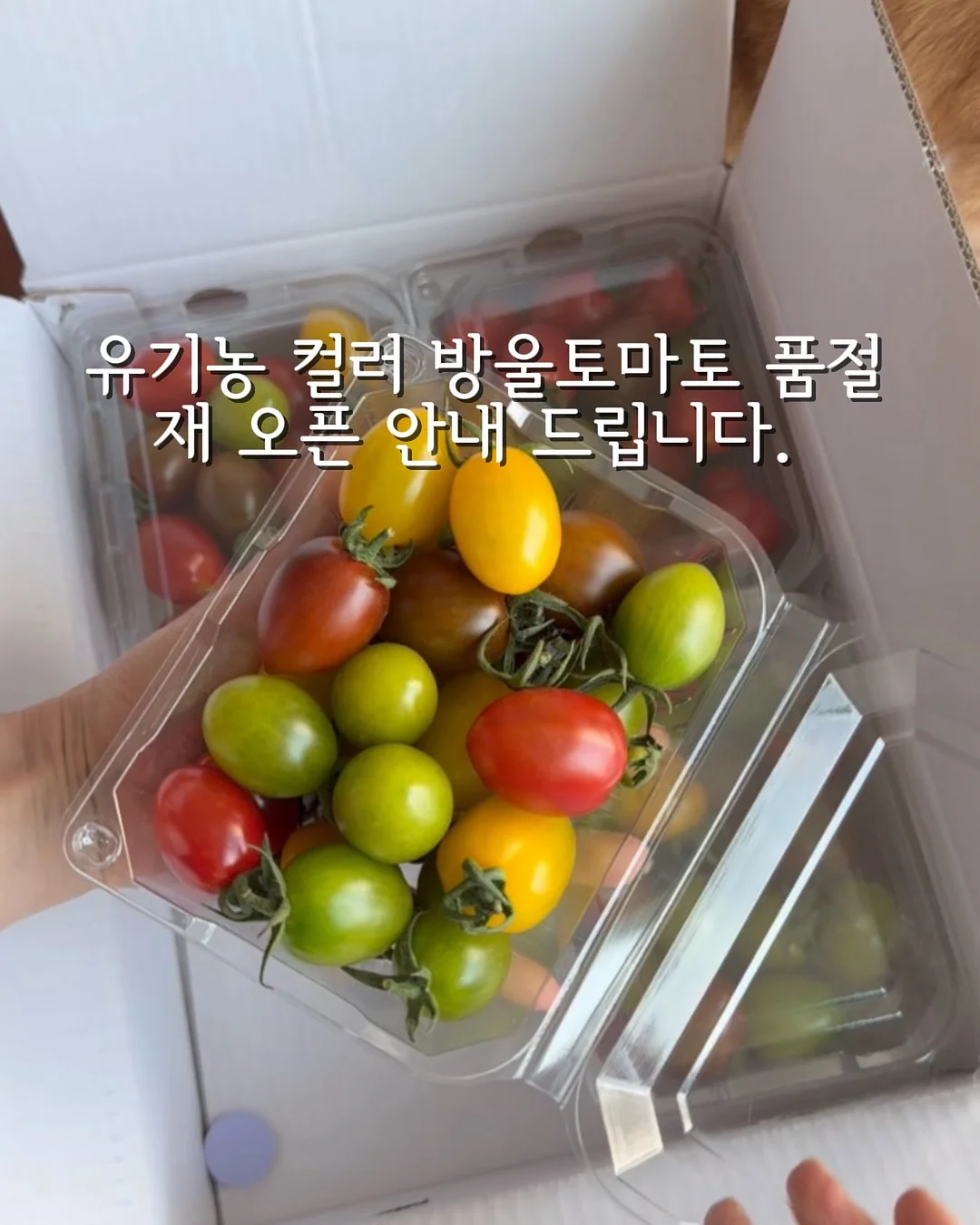 커스텀케이크