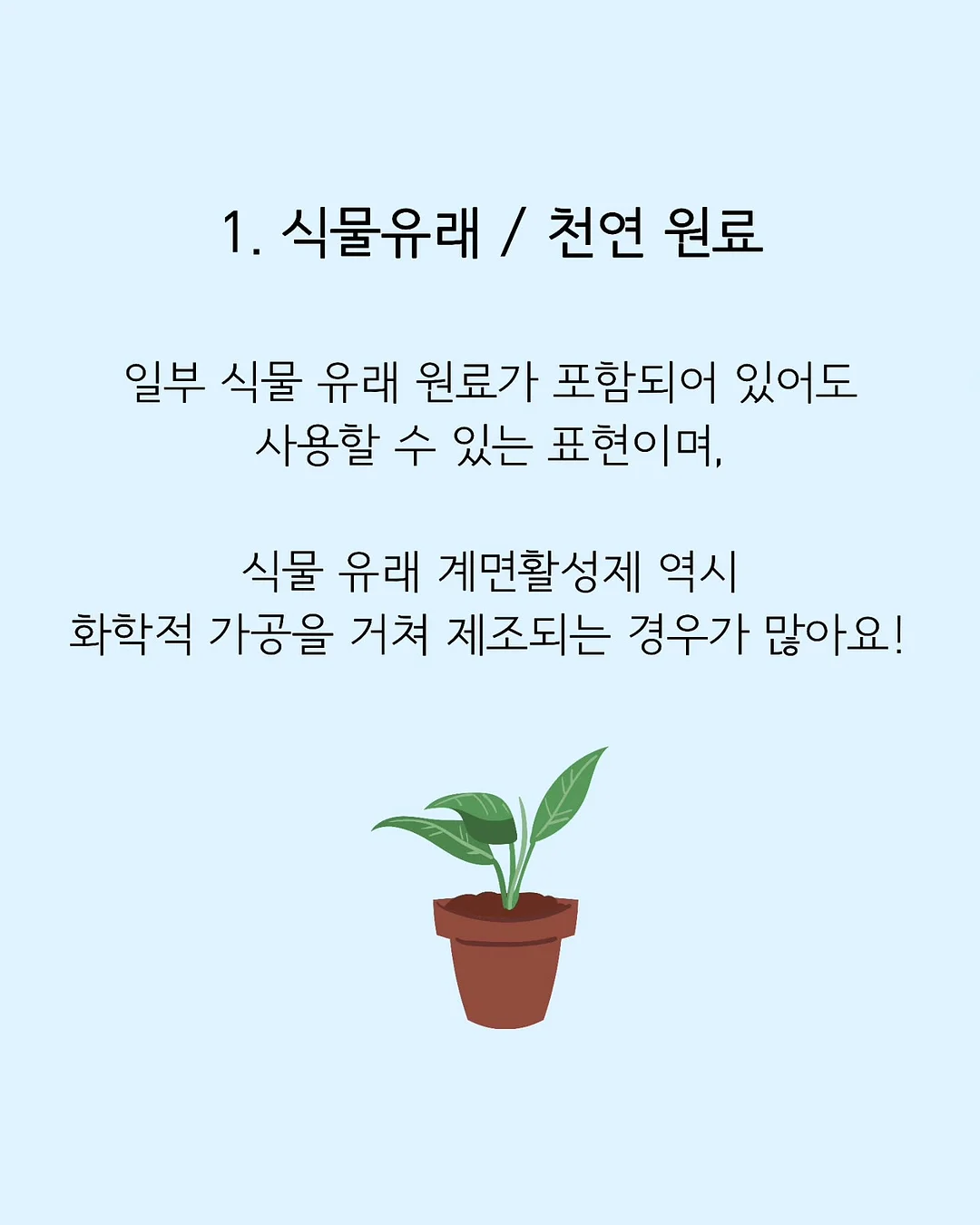 미케 롤업 스트라이프 셔츠 2