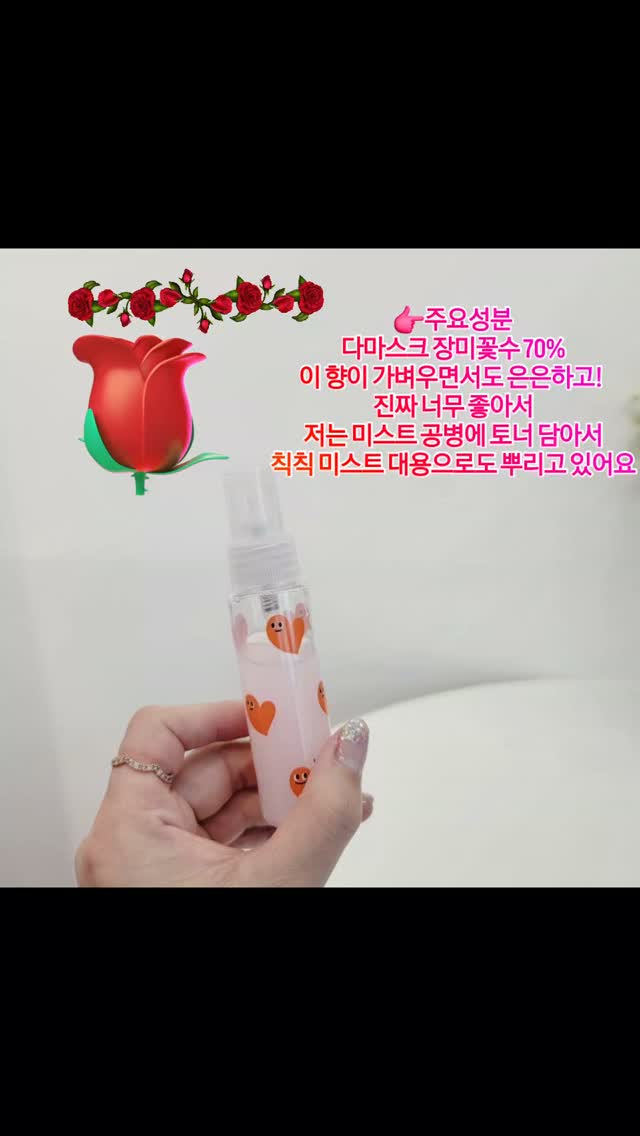 더 로우맛 가방