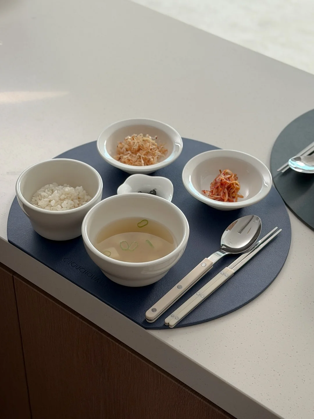 수영복 사진 3