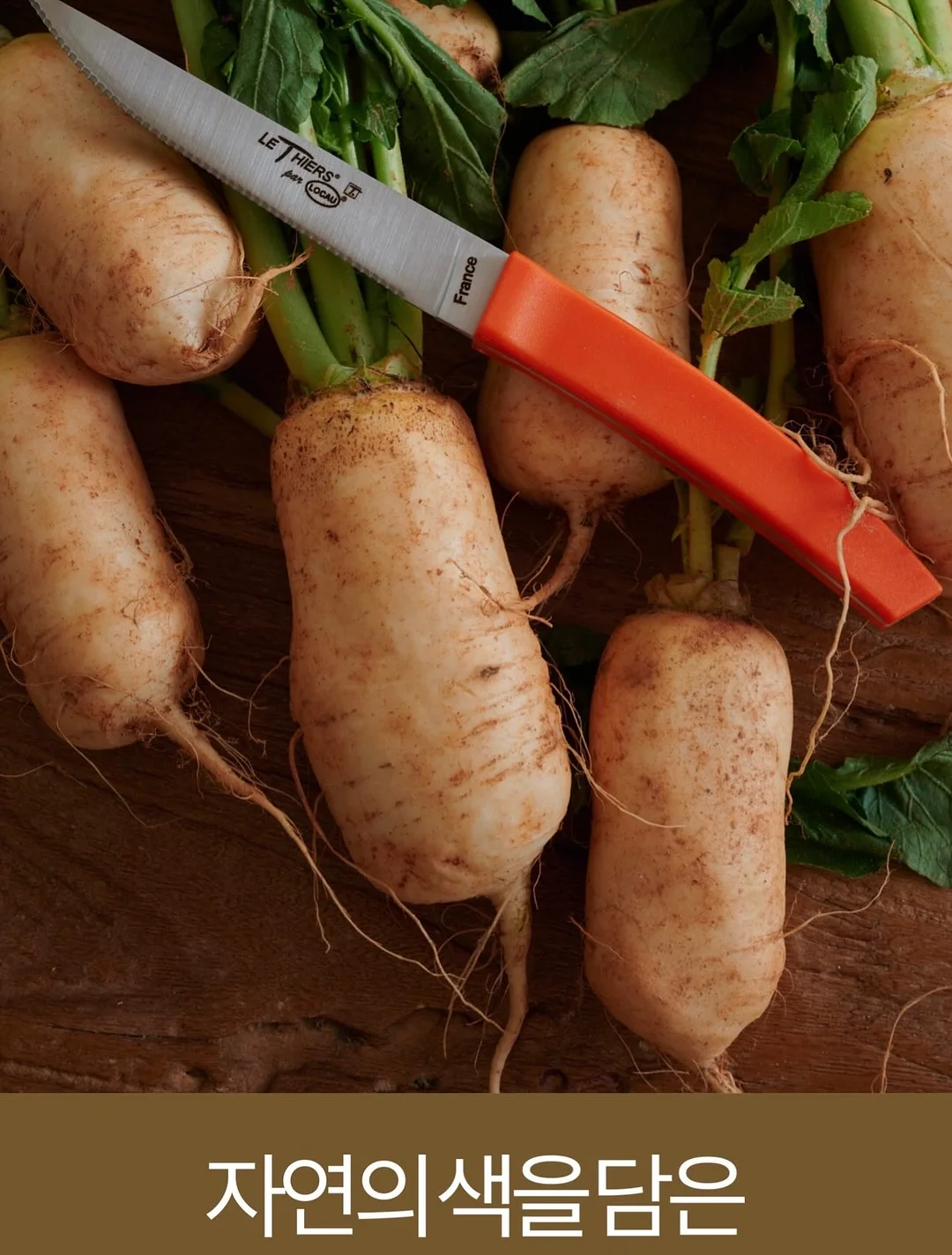 헤어메스 16