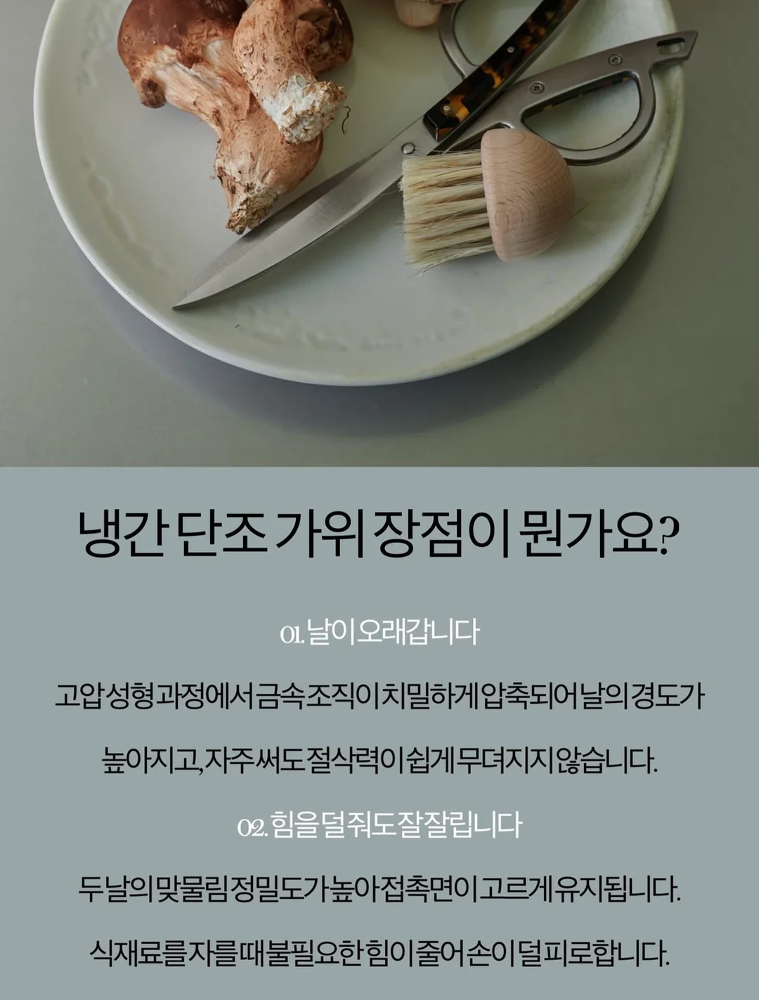 헤어메스 6