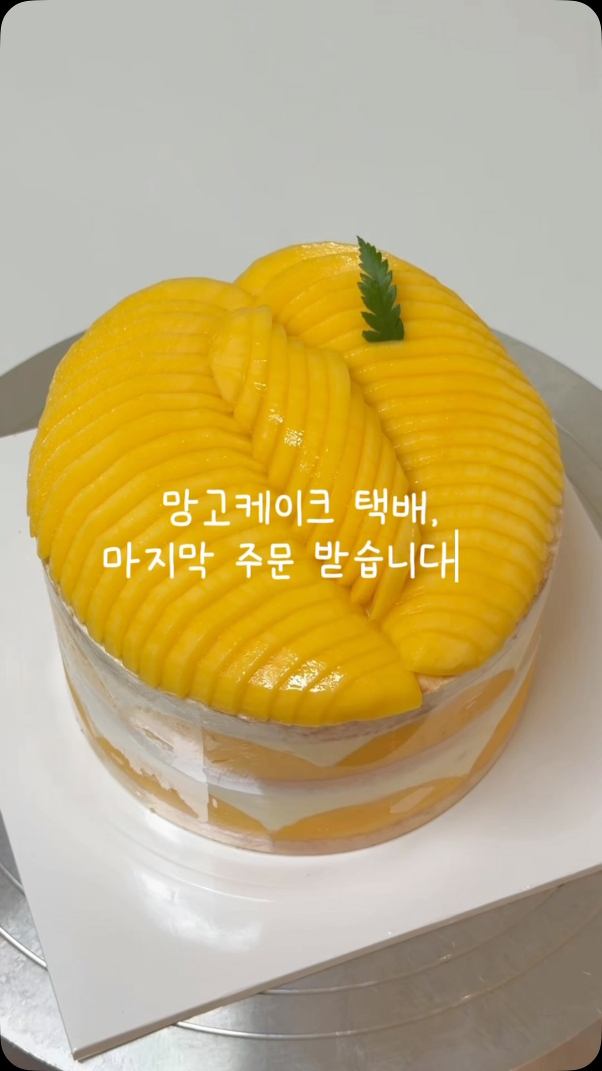 몰텍스 기저귀