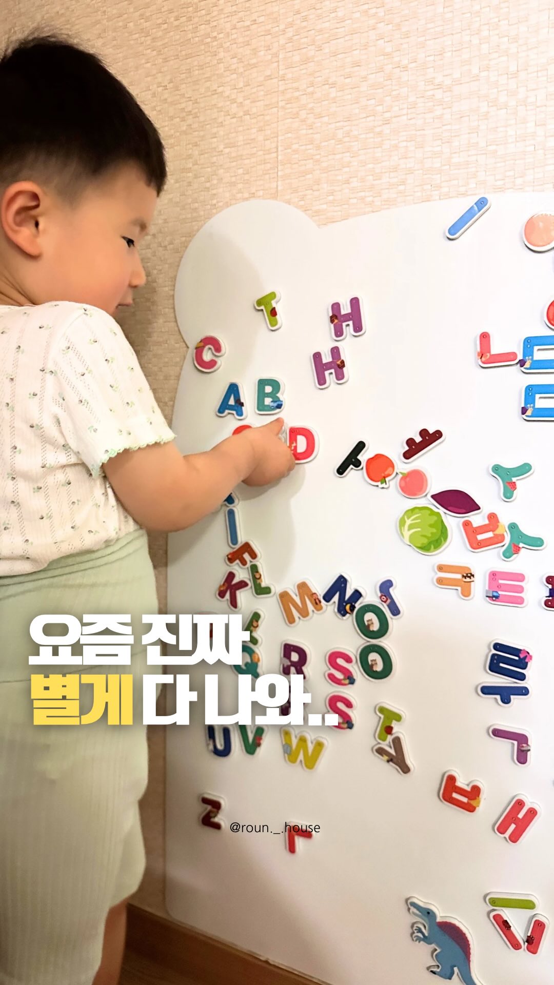 꽁블 프리미엄 훈제연어