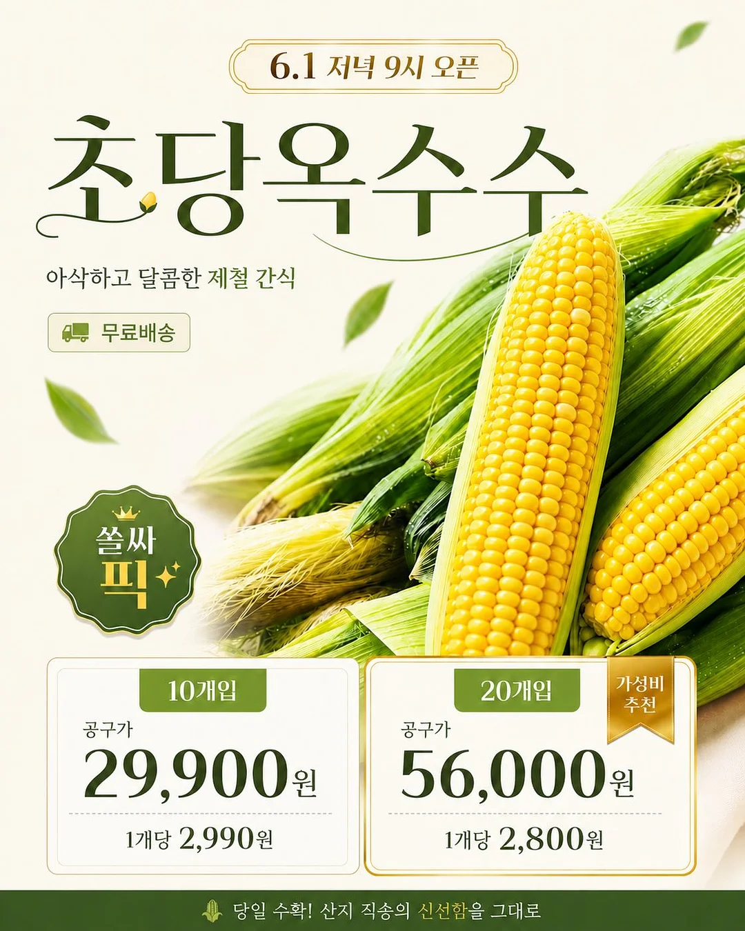 복도북스 책 1