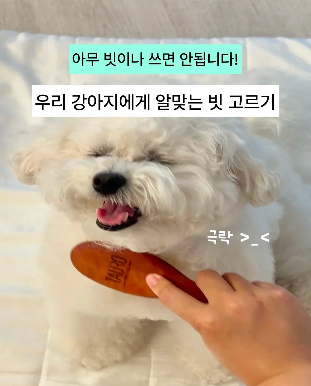 키티 염주 1
