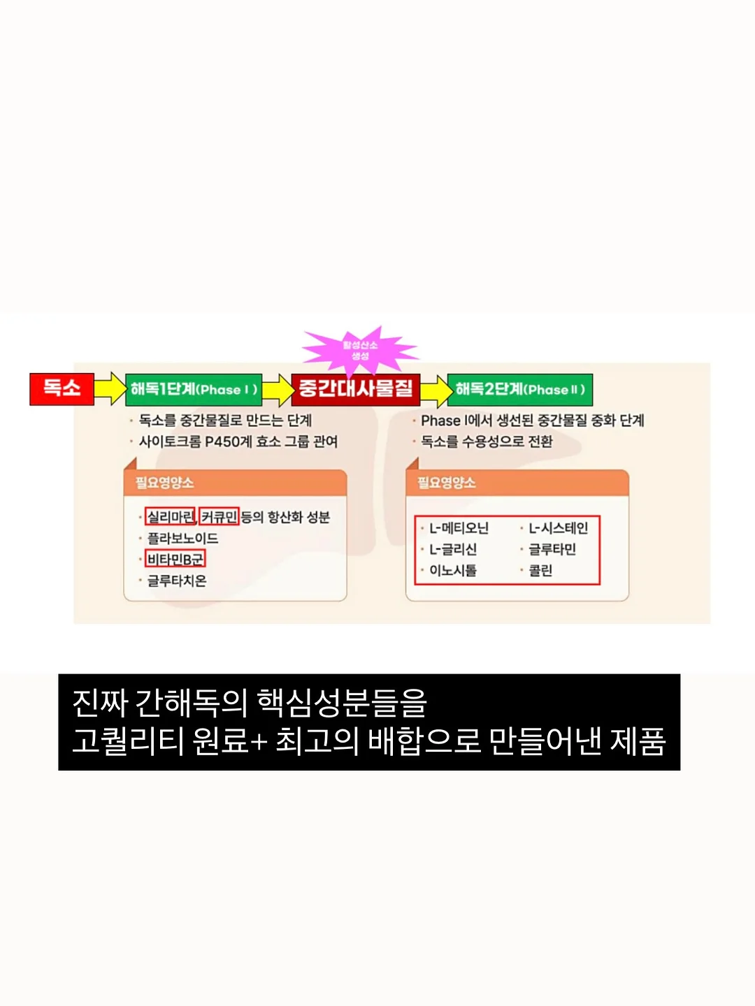 딥티슈마사지 교육 6