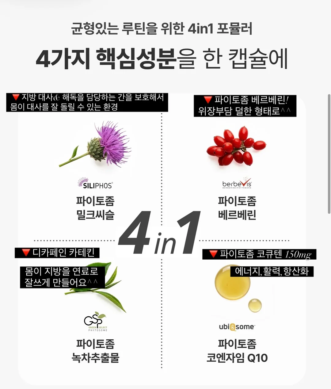 데니스 식탁세트 6
