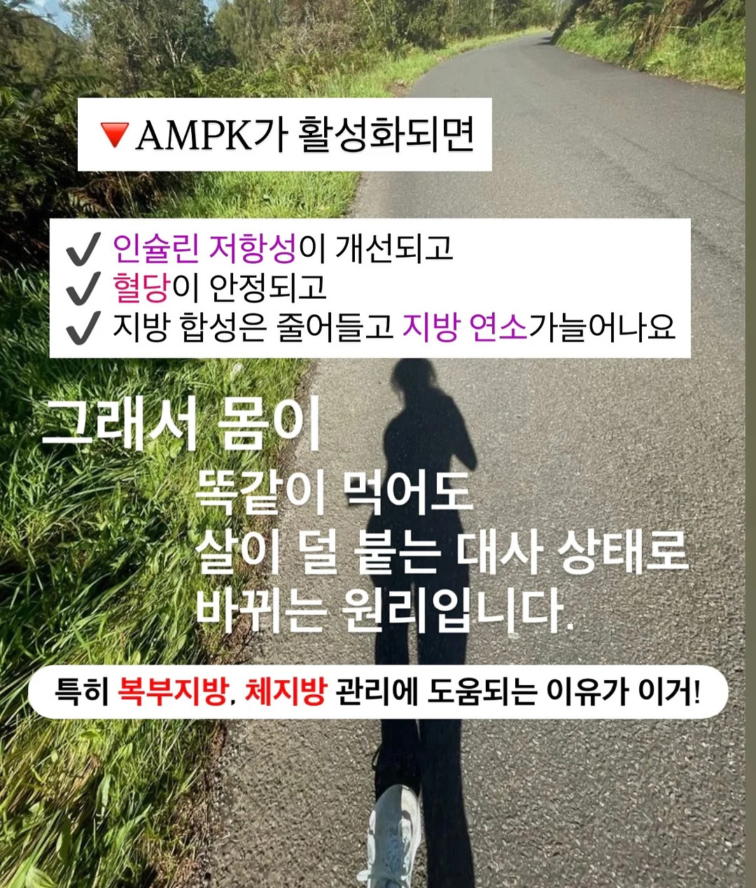 데니스 식탁세트 8