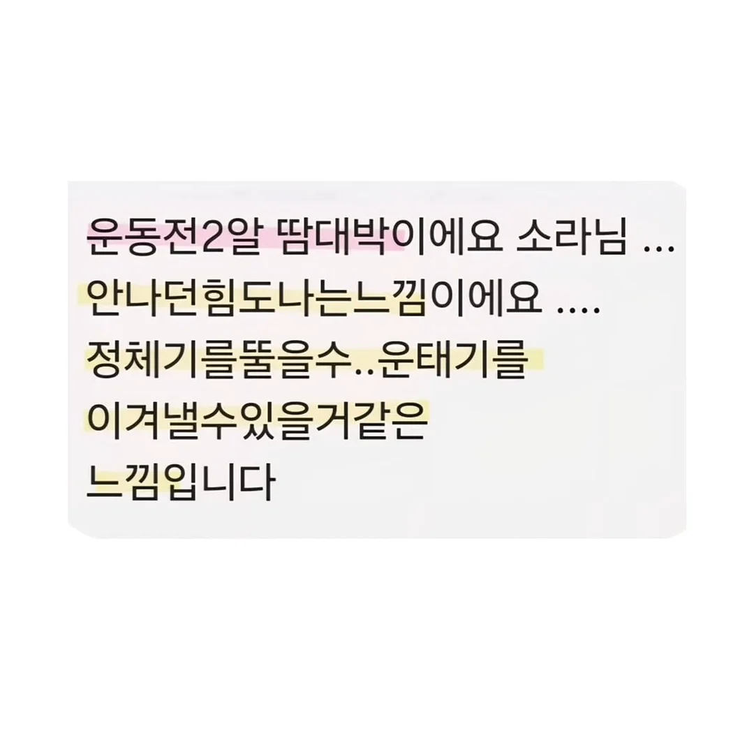 돈테키 소스 9