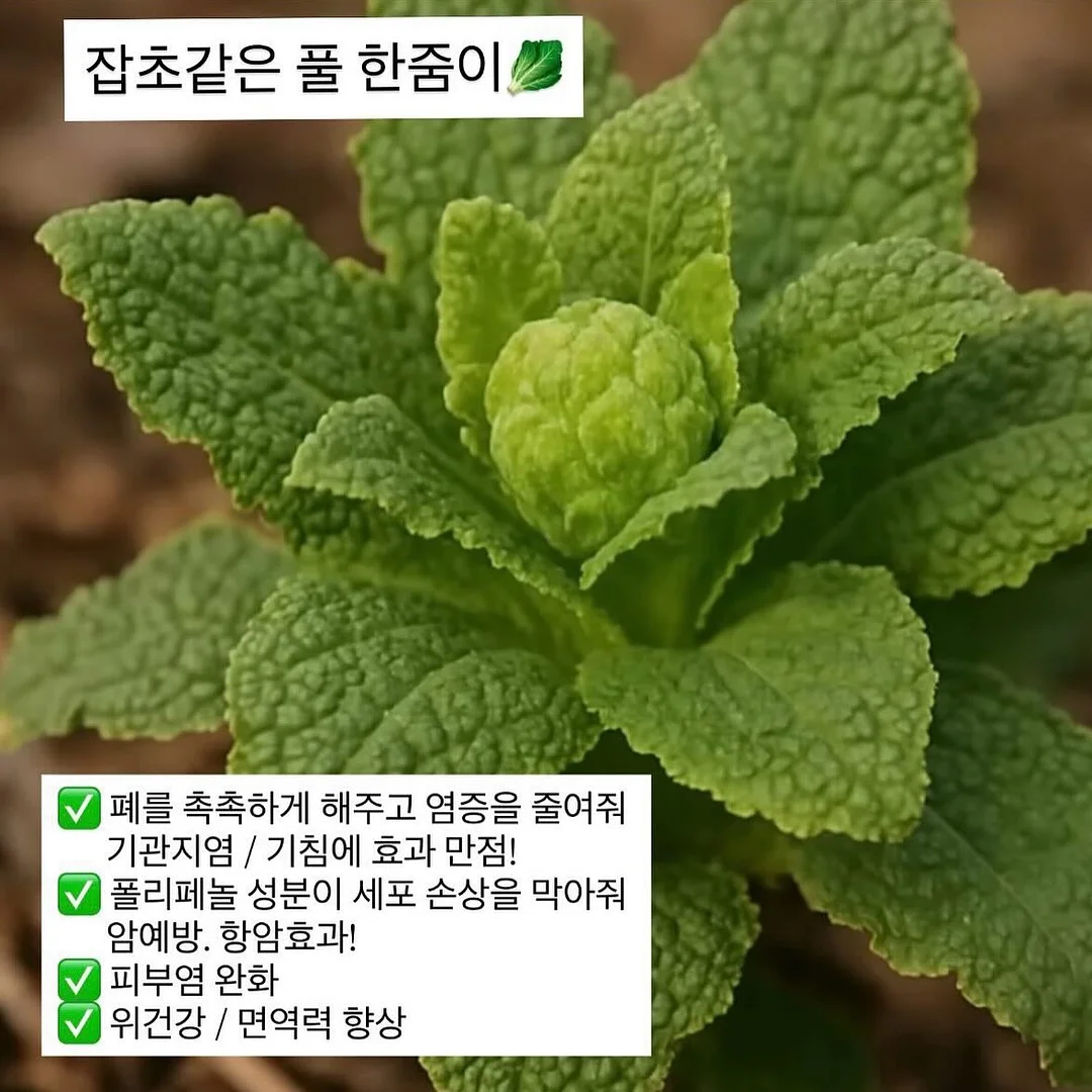 영어회화 100일의 기적 주간 문장정리 Zip 3