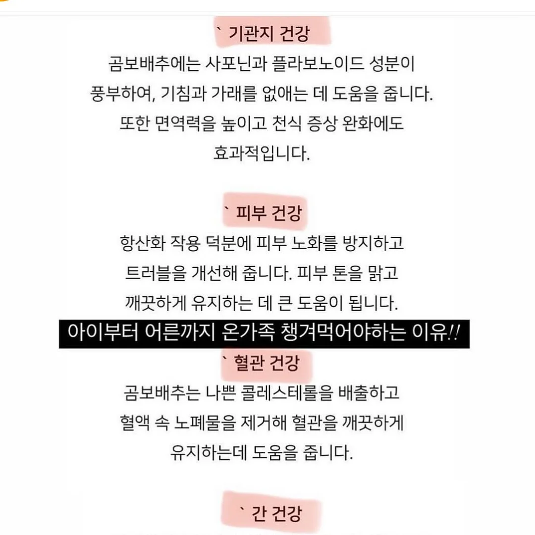 영어회화 100일의 기적 주간 문장정리 Zip 9