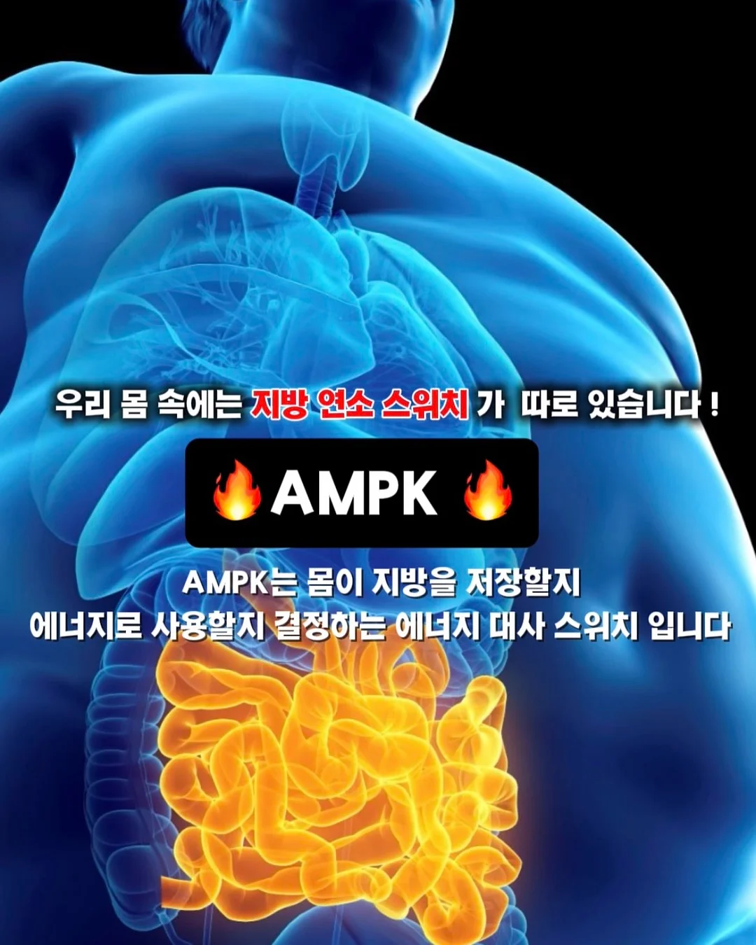 프리미엄 실켓 글로시 코튼 반팔 티셔츠 3