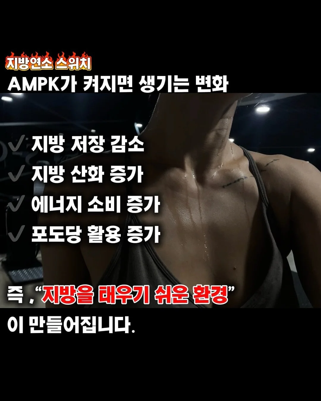 프리미엄 실켓 글로시 코튼 반팔 티셔츠 4