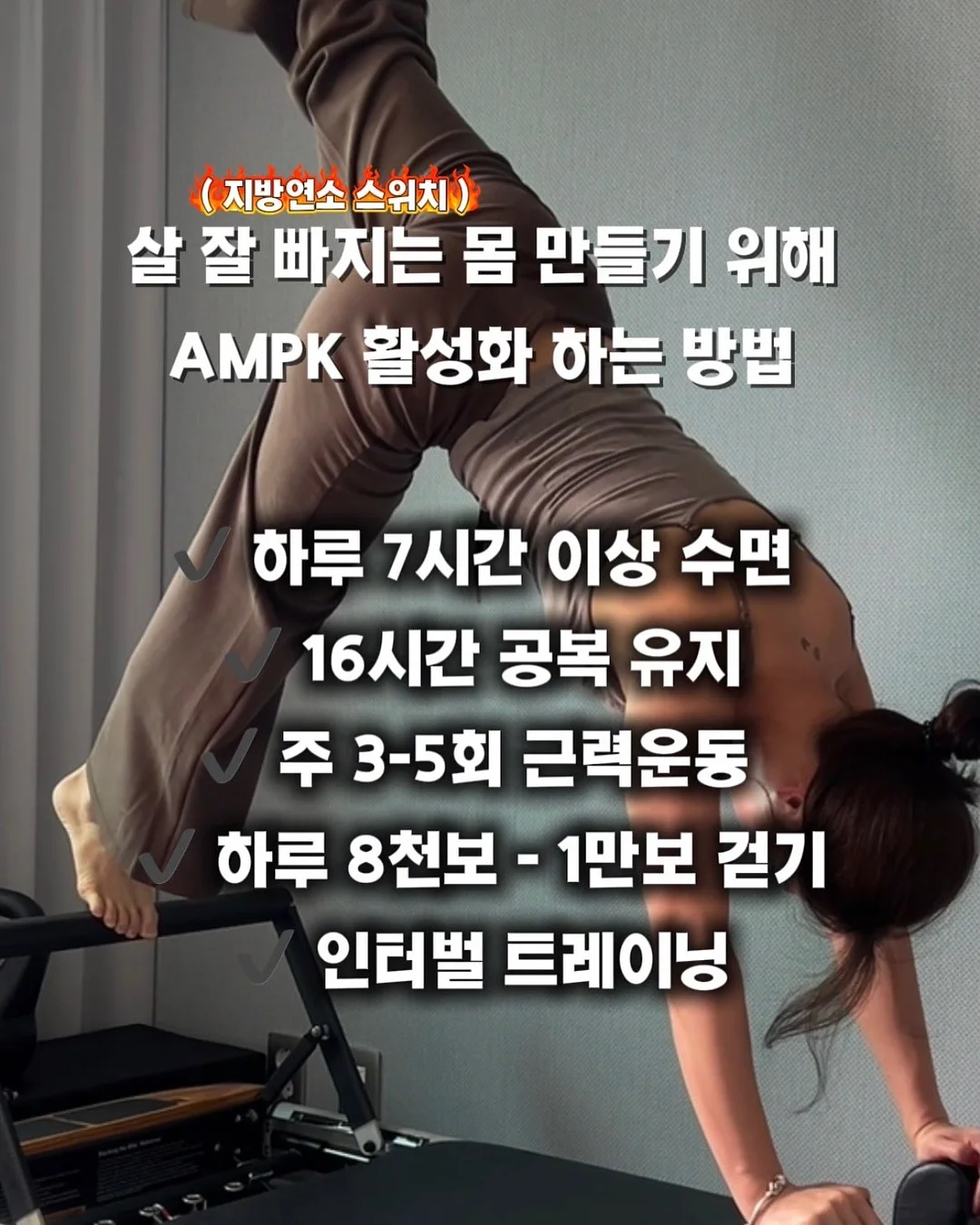 프리미엄 실켓 글로시 코튼 반팔 티셔츠 5