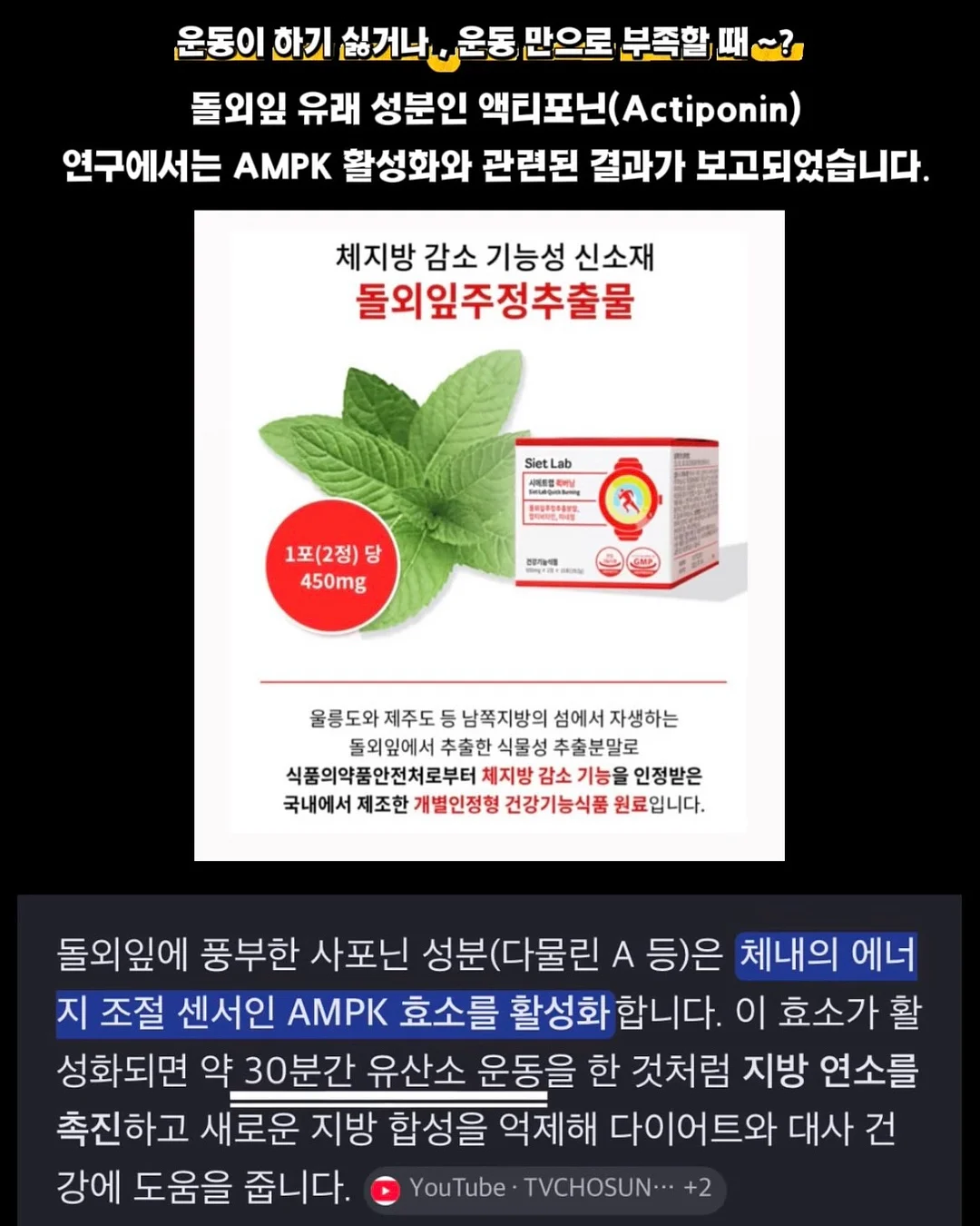 프리미엄 실켓 글로시 코튼 반팔 티셔츠 6