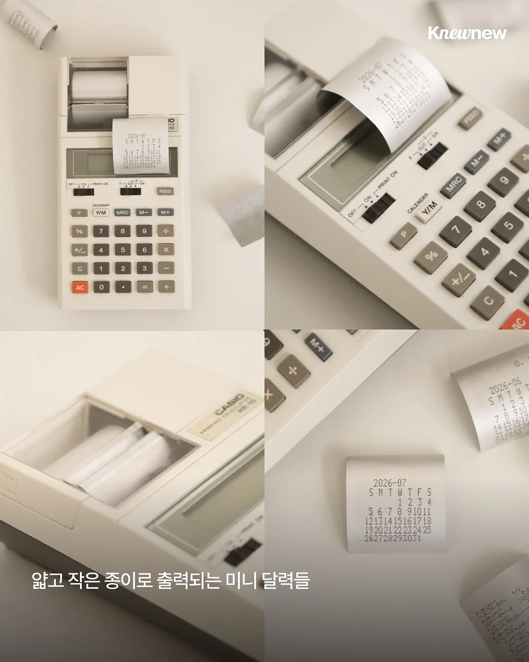 알러이즈 5