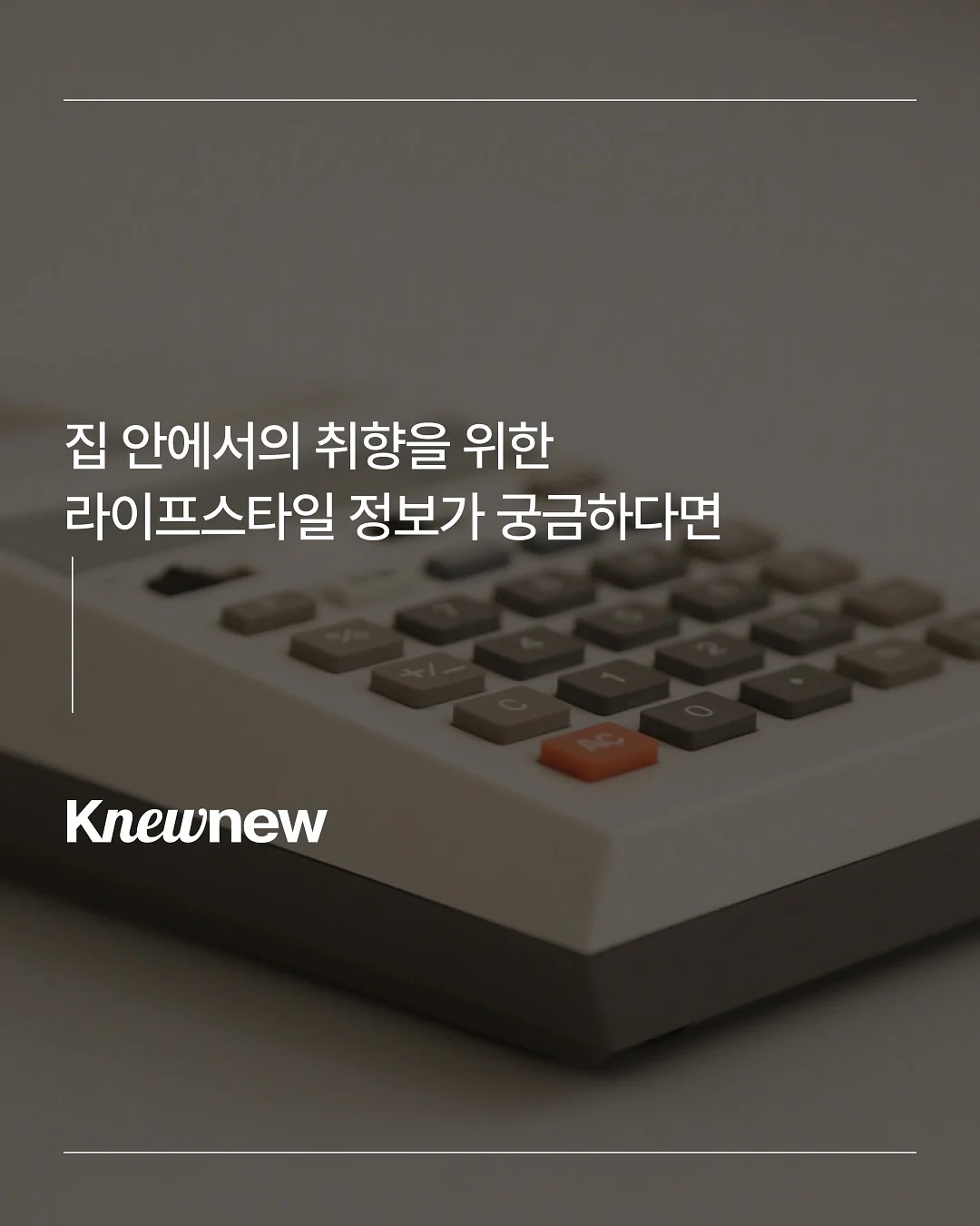 알러이즈 8