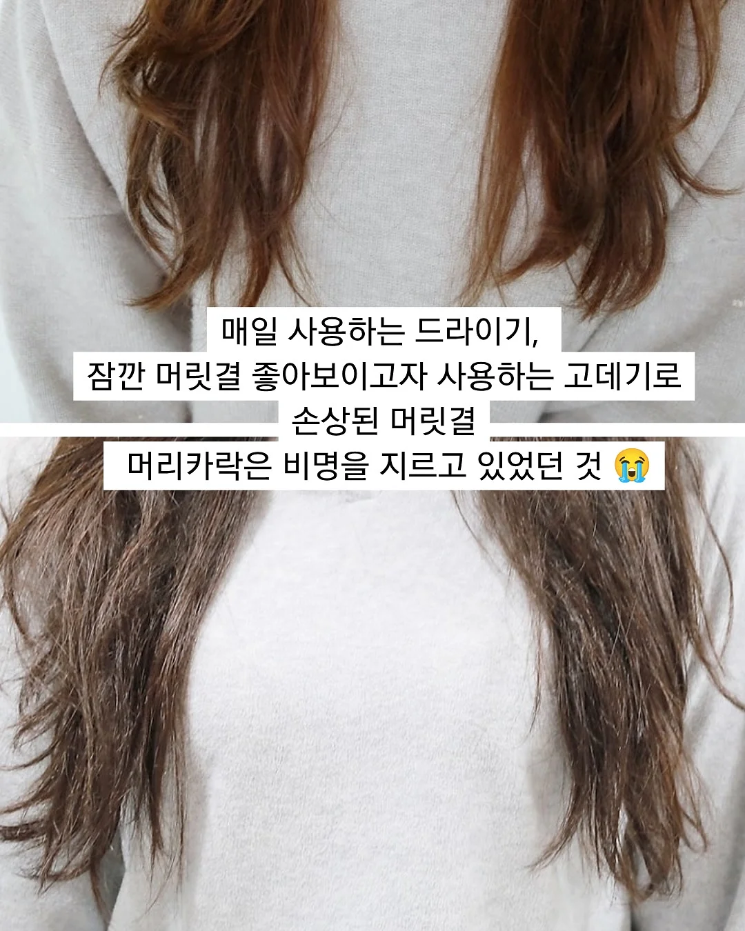 아떼 글로이밤 5