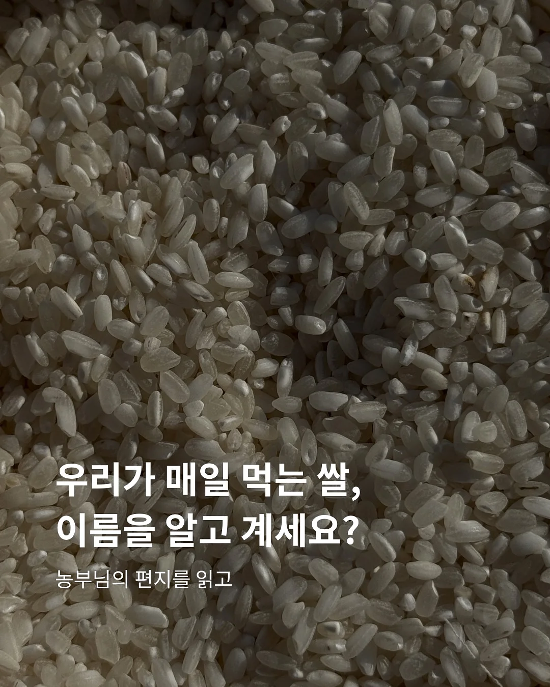 멜멜 베베룩 1