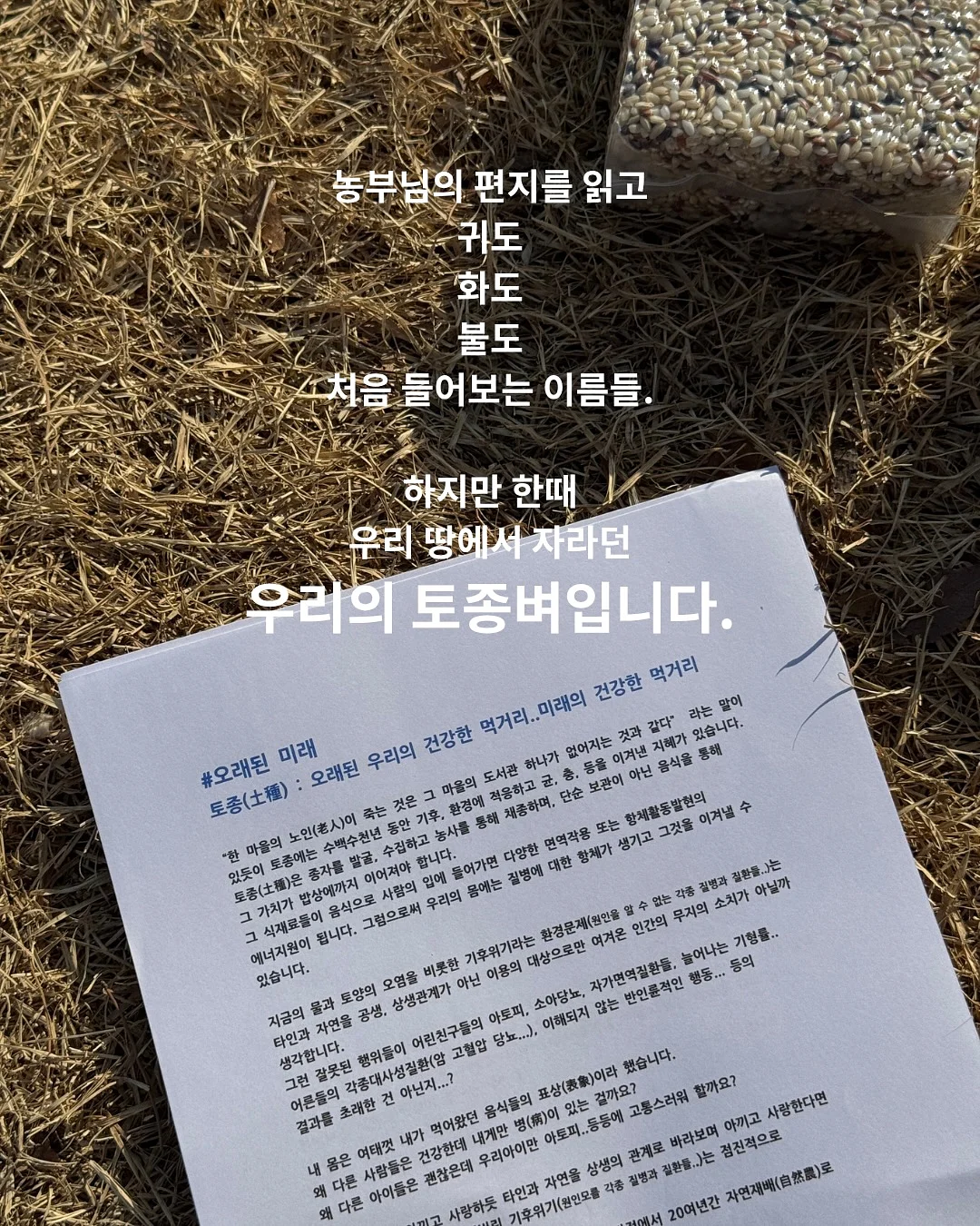멜멜 베베룩 2
