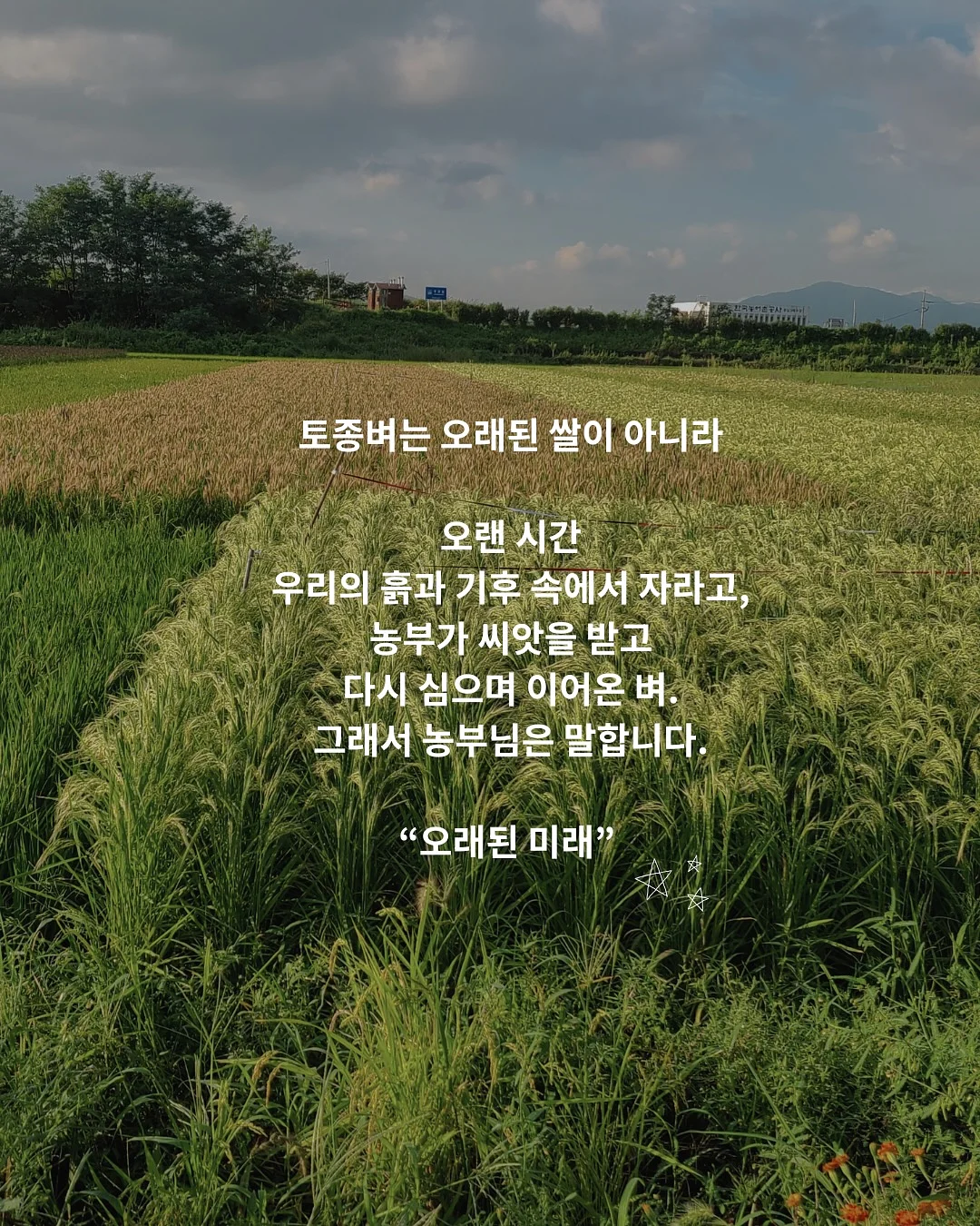 멜멜 베베룩 3