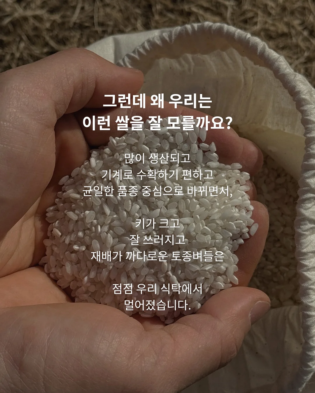 멜멜 베베룩 4