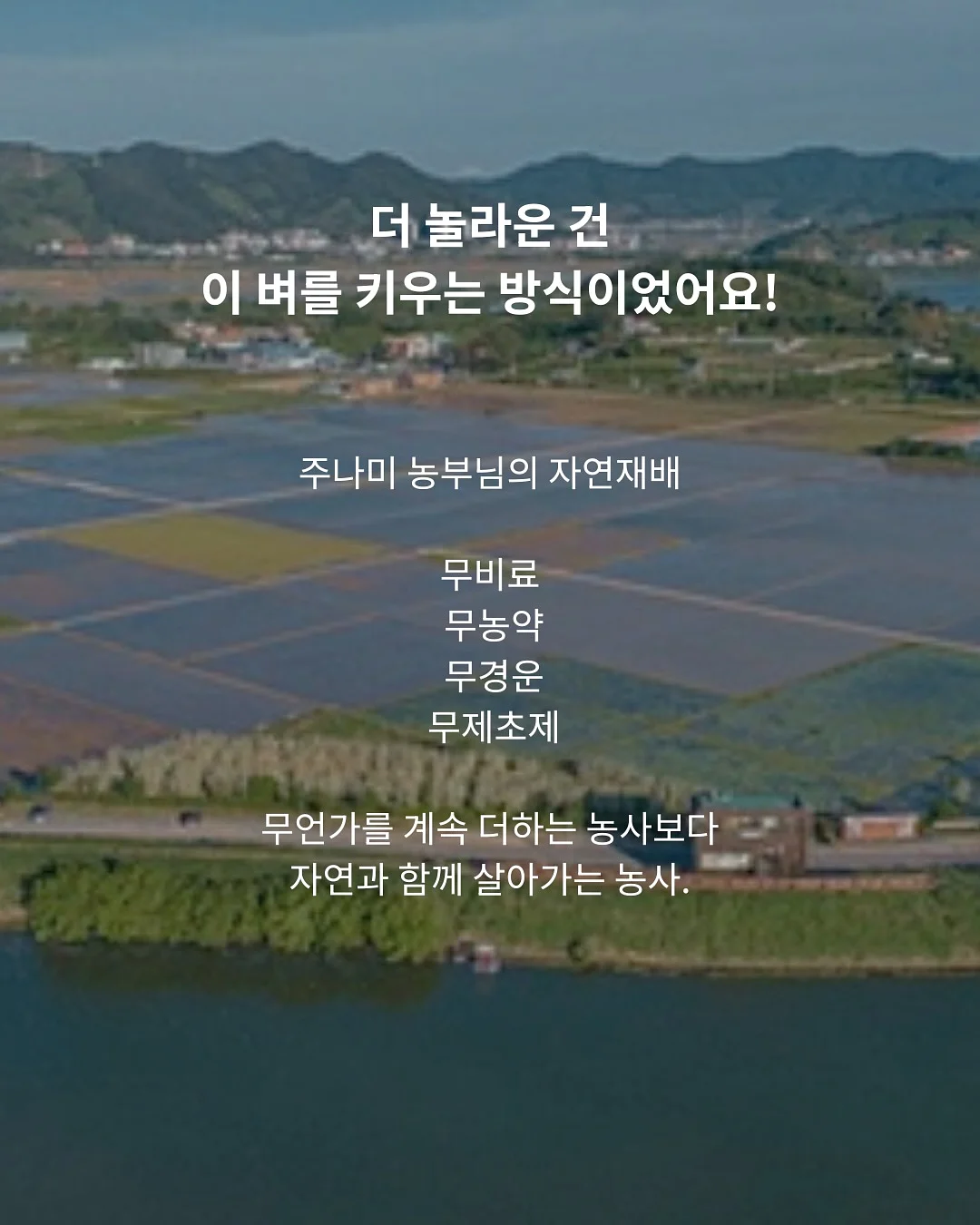 멜멜 베베룩 6