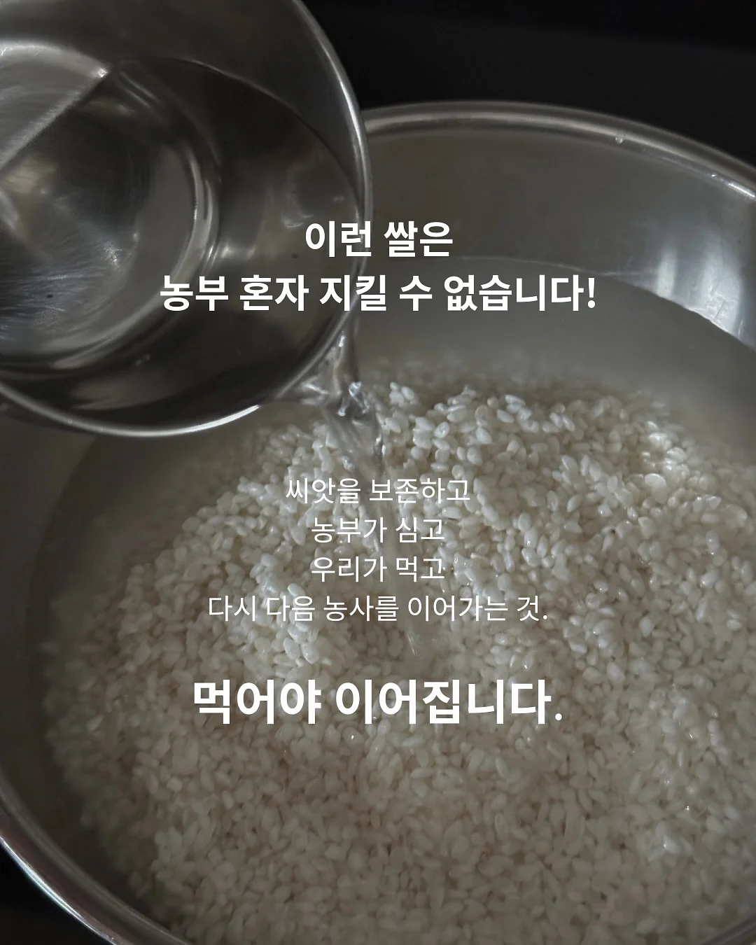 멜멜 베베룩 7