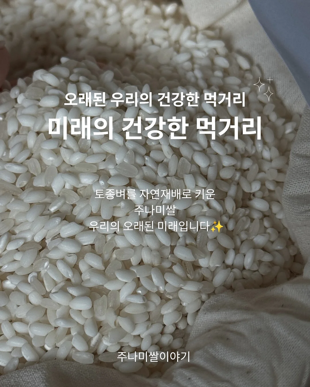 멜멜 베베룩 9