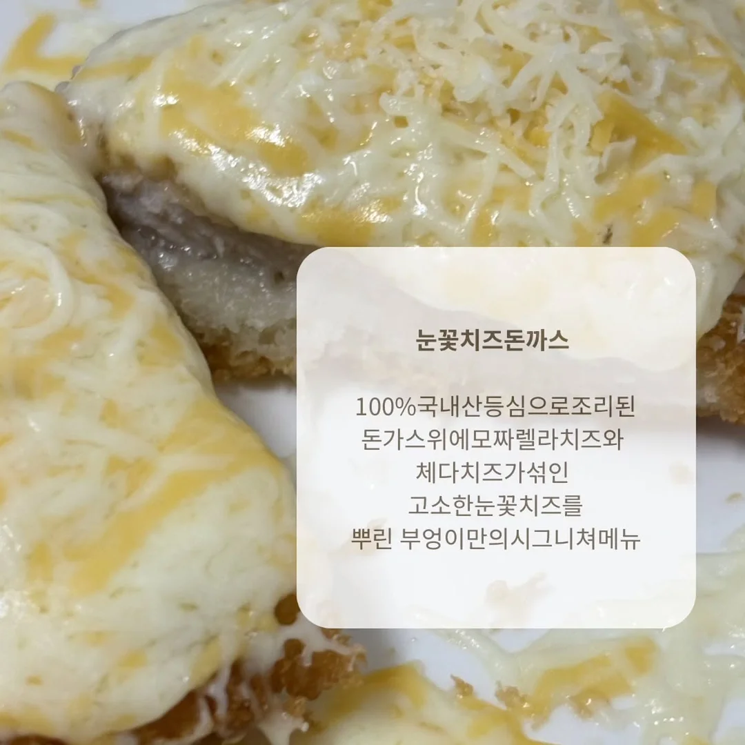 돈모 황금 브러쉬 세트 6