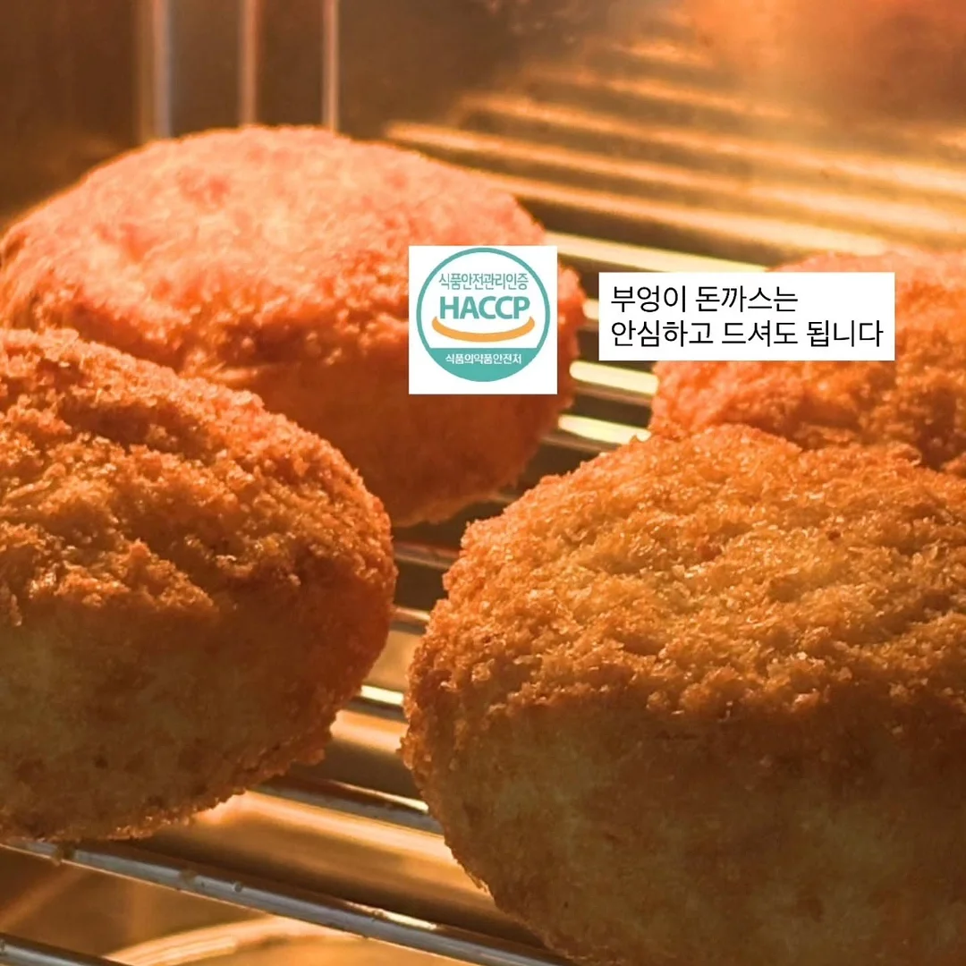 돈모 황금 브러쉬 세트 8