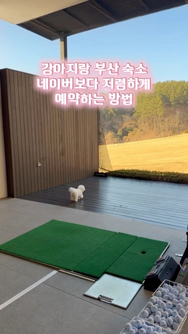 광동 루테인